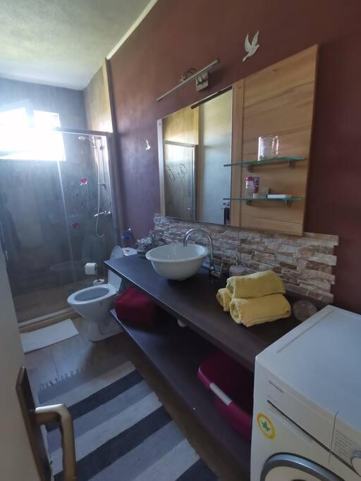 Apartment Zara Funtana Exteriér fotografie